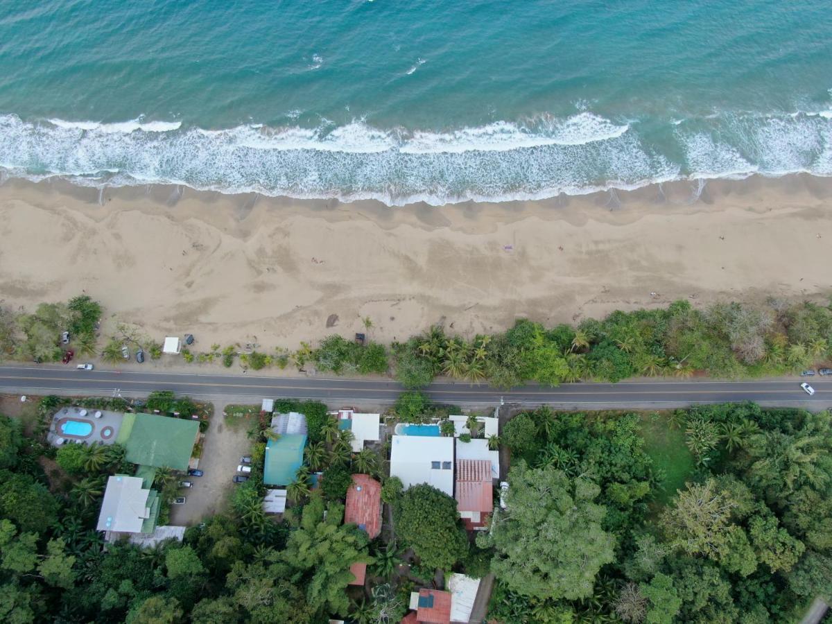 Cariblue Beach&Jungle Resort Puerto Viejo de Talamanca Exterior foto