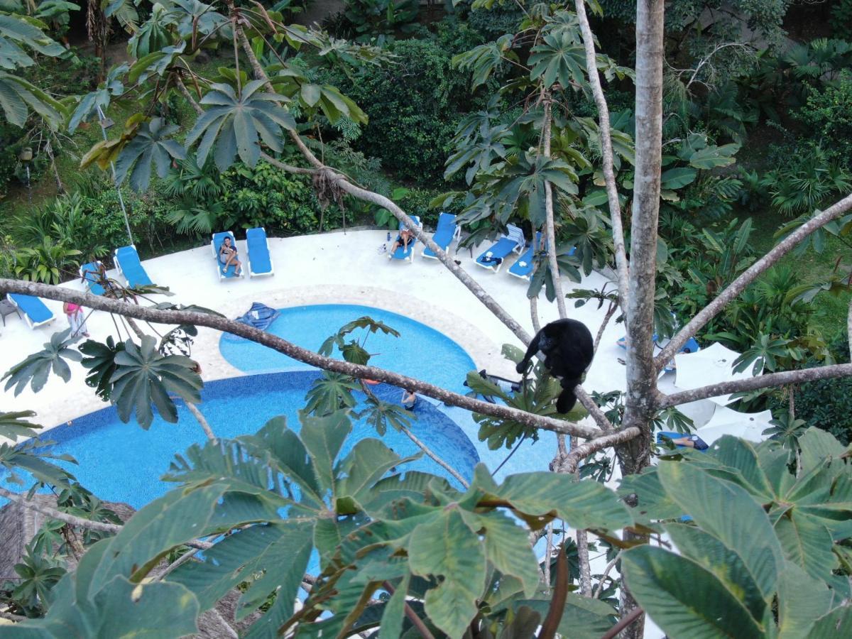 Cariblue Beach&Jungle Resort Puerto Viejo de Talamanca Exterior foto